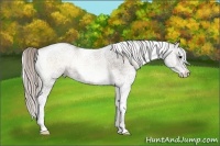 Horse Color:White Spotted Silver Brown Onyx 