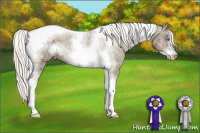 Horse Color:Silver Sable Champagne Ice Sabino Tobiano Frame Appaloosa 