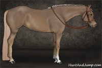 Horse Color:Chocolate Palomino Sabino