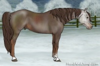 Horse Color:Liver Red Roan Sabino