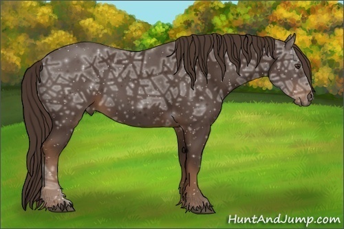 Horse Color:Liver Chestnut Ice 