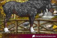 Horse Color:Liver Chestnut Ice 