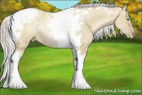 Horse Color:Silver Grullo Pearl Tobiano Rabicano 