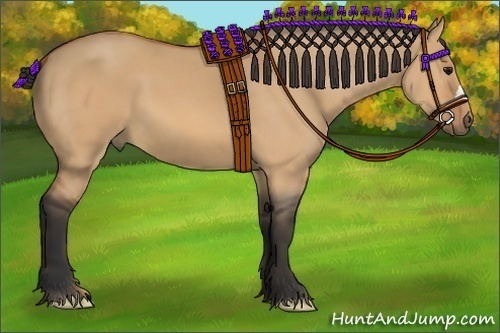 Horse Color:Bay Dun