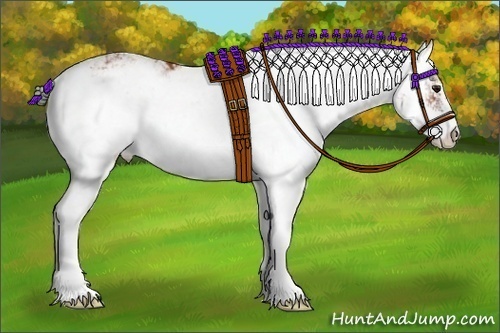 Horse Color:Bay Sabino 