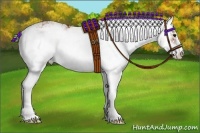 Horse Color:Bay Sabino