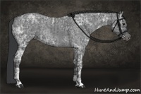 Horse Color:Blue Ice Roan  and Blue Ice Roan 