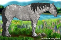 Horse Color:Blue Ice Roan and Grullo Ice Roan