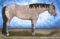 Horse Color:Blue Ice Roan  and Bay Ice Roan 