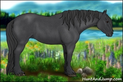Horse Color:Blue Roan