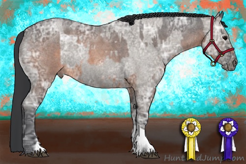 Horse Color:Brown Ice Roan and Grullo Ice Roan