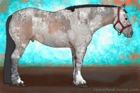 Horse Color:Brown Ice Roan and Grullo Ice Roan