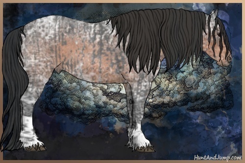 Horse Color:Blue Ice Roan  and Brown Ice Roan 