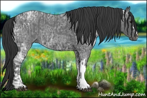 Horse Color:Blue Ice Roan  and Blue Ice Roan 