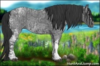 Horse Color:Blue Ice Roan  and Blue Ice Roan 