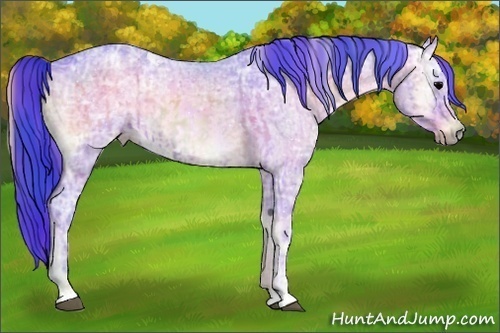Horse Color:Nacre Watercolor Blue Onyx Ice Roan  and Nacre Watercolor Brown Ice Roan Onyx 