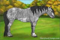 Horse Color:Blue Ice Roan  and Blue Ice Roan Frame 