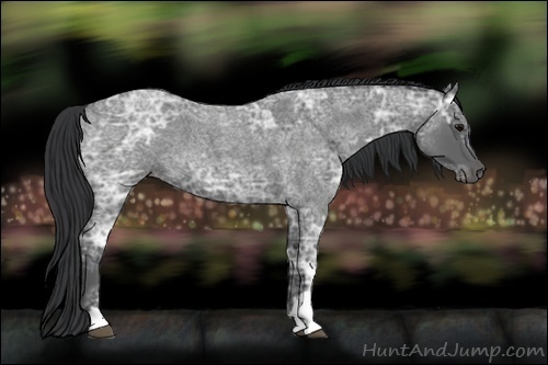 Horse Color:Blue Ice Roan  and Blue Ice Roan 