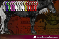 Horse Color:ERROR: UNKNOWN ANOMALY and ERROR: UNKNOWN ANOMALY