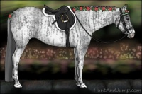 Horse Color:Blue Ice Roan and White Spotted Black Ice