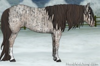 Horse Color:Blue Ice Roan and Classic Champagne Ice Roan