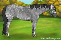 Horse Color:Blue Ice Roan  and Blue Ice Roan 