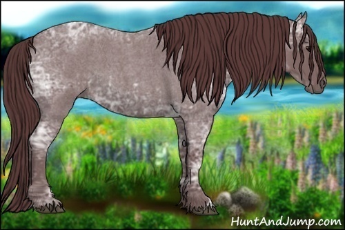 Horse Color:Chocolate Blue Ice Roan and Chocolate Blue Ice Roan