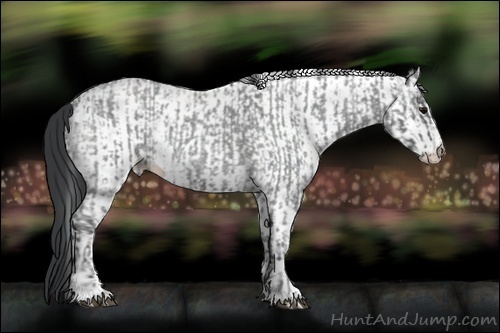 Horse Color:Blue Ice Roan and White Spotted Black Ice