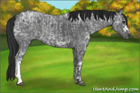 Horse Color:Blue Ice Roan and Gray Blue Ice Roan