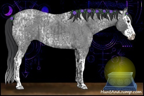 Horse Color:Blue Ice Roan  and Blue Ice Roan Splash 