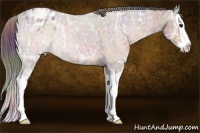 Horse Color:Nacre Brown Ice Splash Appaloosa 