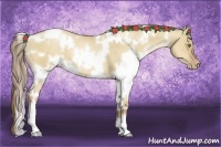 Horse Color:White Spotted Liver Red Dun Pearl 