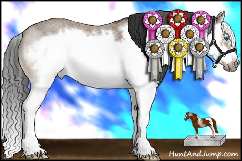 Horse Color:Buckskin Roan Splash Frame 