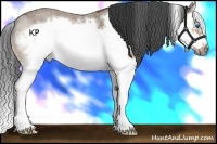 Horse Color:Buckskin Roan Splash Frame 