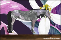 Horse Color:Sable Champagne Ice Sabino and Gray Blue Ice Roan