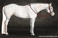 Horse Color:Buckskin Roan Pearl  and Amber Cream Champagne Roan Pearl 