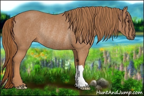 Horse Color:Chestnut Rabicano 