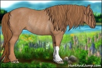 Horse Color:Chestnut Rabicano