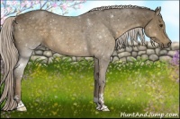 Horse Color:Chocolate Palomino 