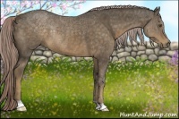 Horse Color:Chocolate Palomino Rabicano