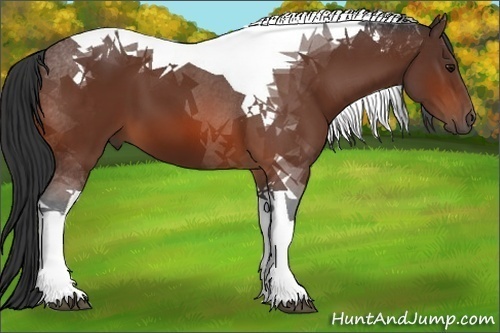 Horse Color:Brown Tobiano 