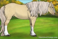 Horse Color:Palomino Dun