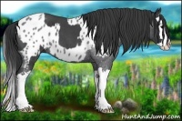 Horse Color:Blue Roan Sabino Splash and Blue Roan Sabino Splash Near Leopard
