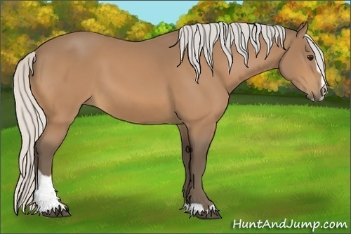 Horse Color:Silver Buckskin Sabino 