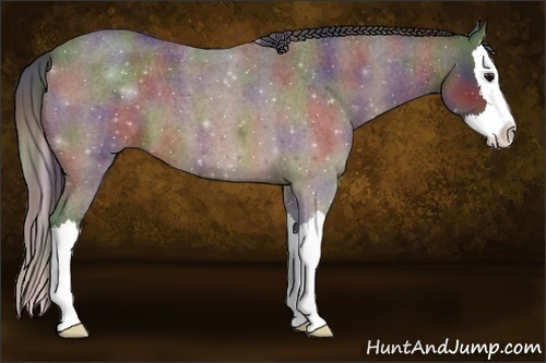 Horse Color:Nacre Brown Roan Sabino Splash 