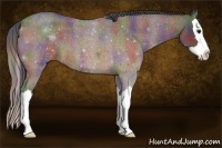 Horse Color:Nacre Brown Roan Sabino Splash 