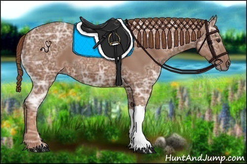 Horse Color:Chestnut Ice 