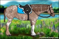 Horse Color:Chestnut Ice 