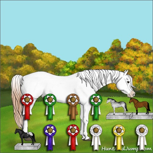 Horse Color:White Spotted Bay Appaloosa 