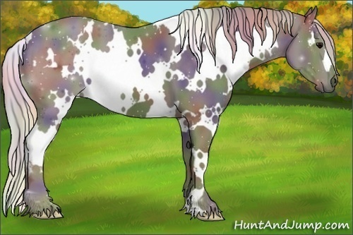 Horse Color:Nacre White Spotted Silver Black
